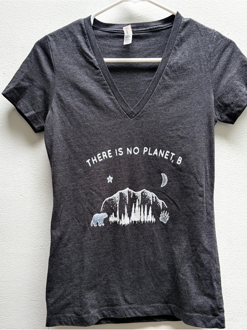 There’s No Planet B, Eco Themed Bella Canvas Heather Charcoal V-Neck Tee